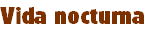 Vida nocturna 